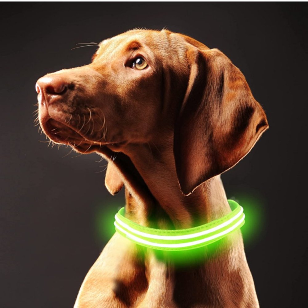Led Dog Collar Rechargeable Waterproof - IFOAIR Super Bright Dog Flashing Collar